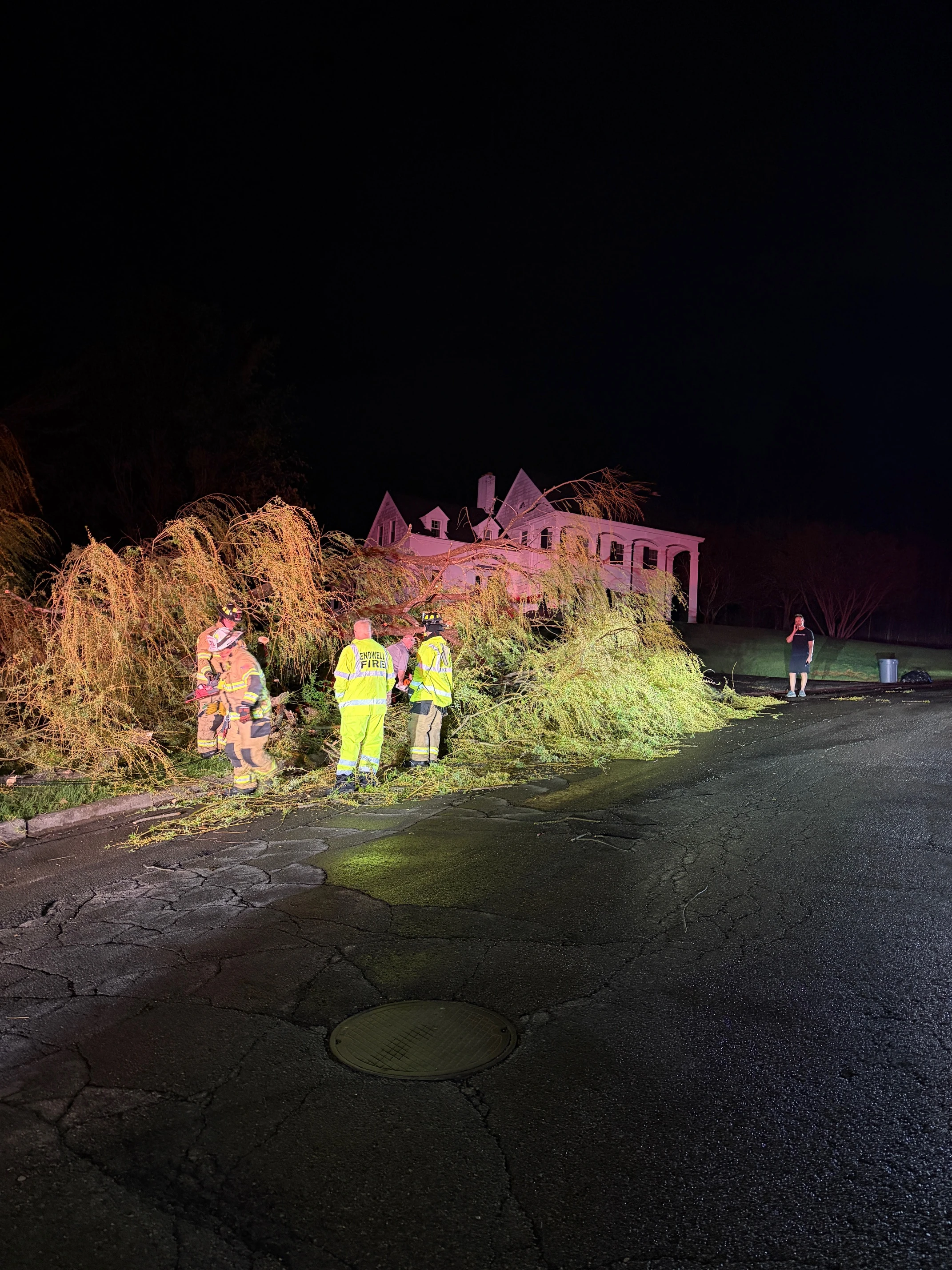 04-16-26  632 Sunset Drive - Tree In Roadway