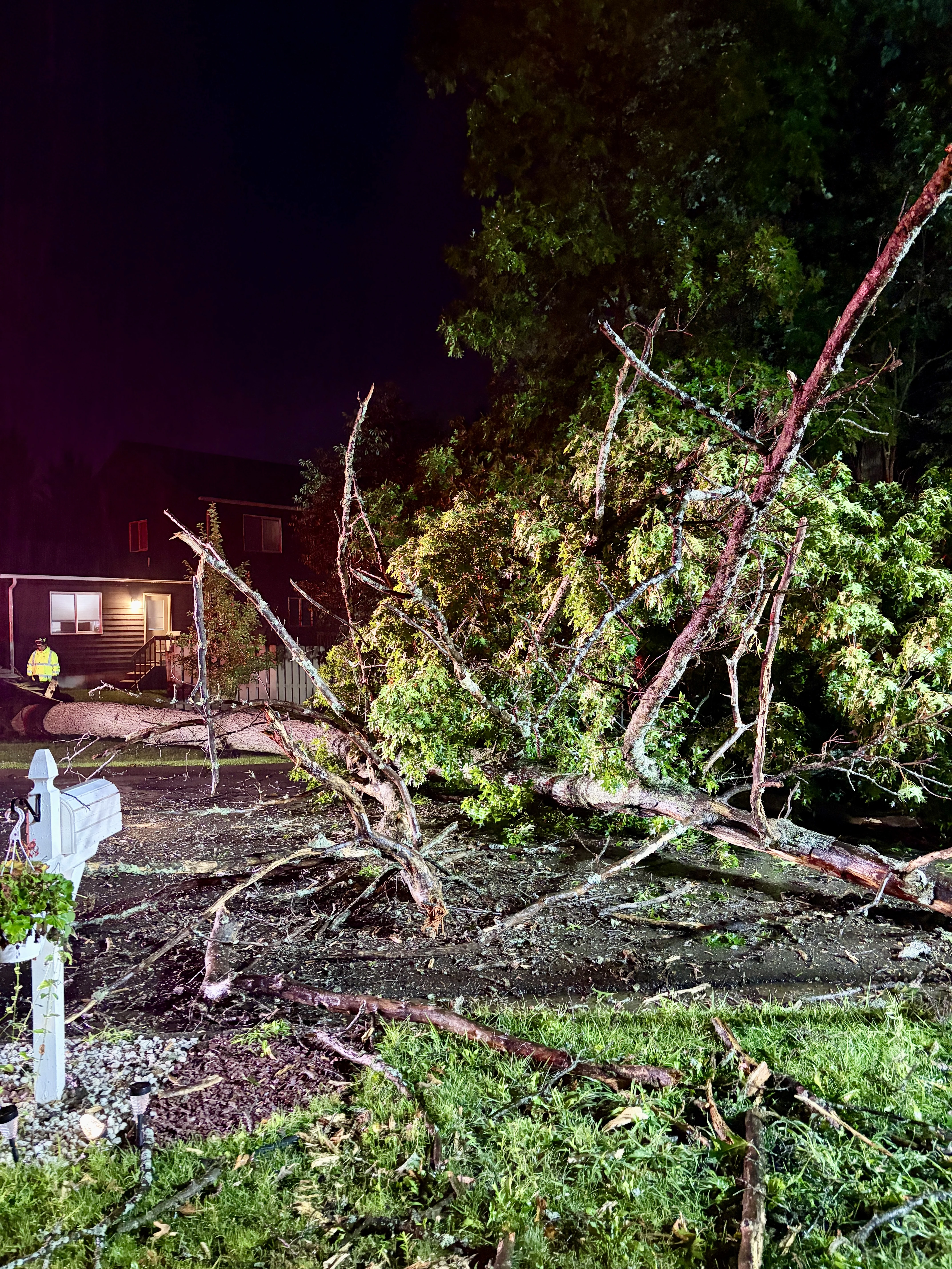 Tree Down on Southern Pines Drive 08-02-26
